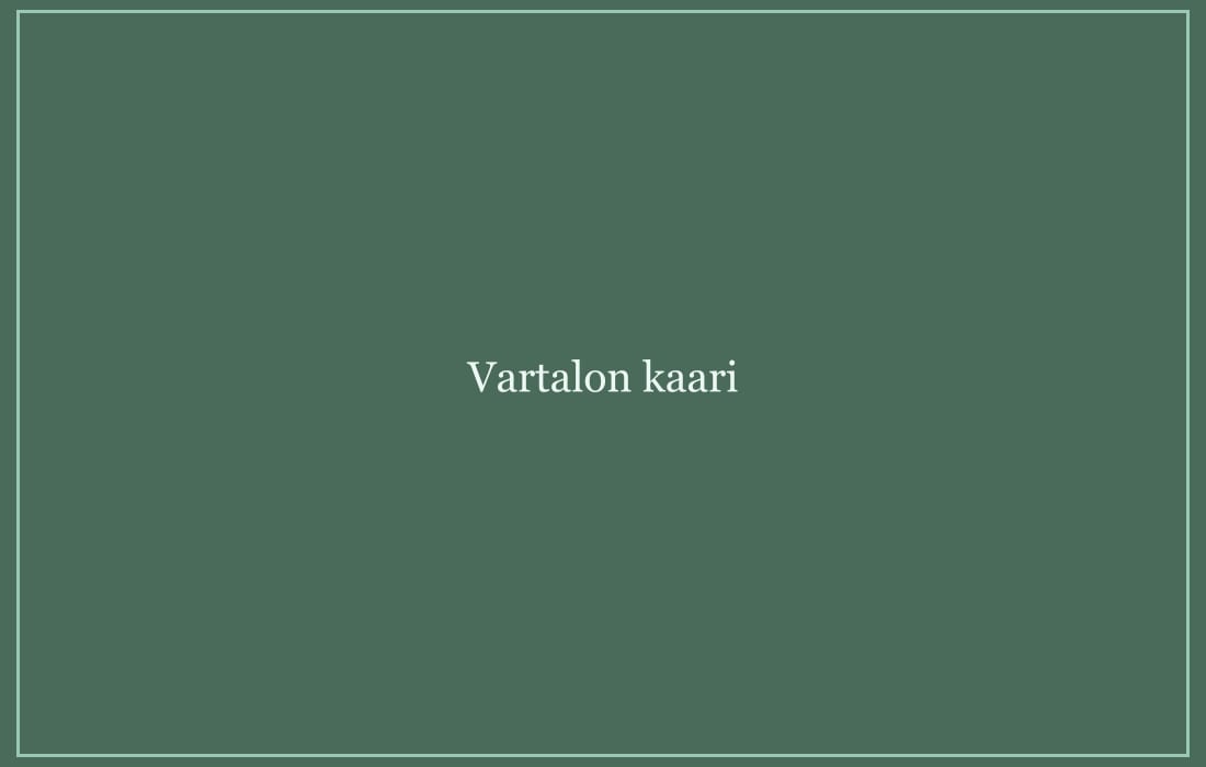 Hahmon vartalon kaari luonnos.
