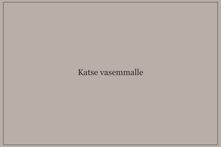 Kasvojen luonnos, katse vasemmalle.