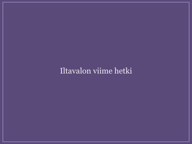 Metsäinen maisema pehmeässä iltavalossa.