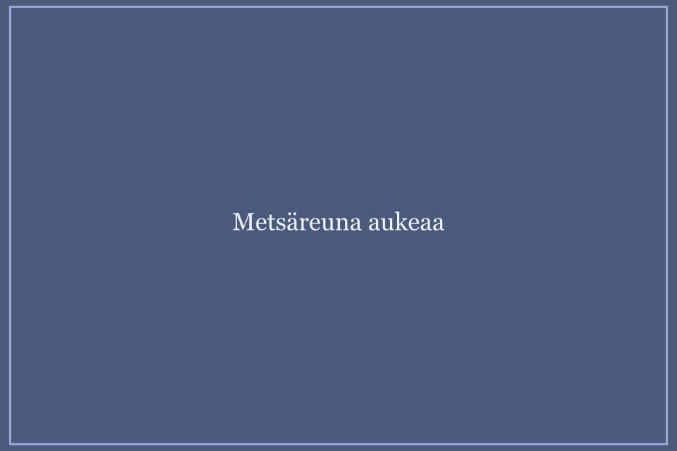 Avoin maasto ja metsäreunoja horisontissa.